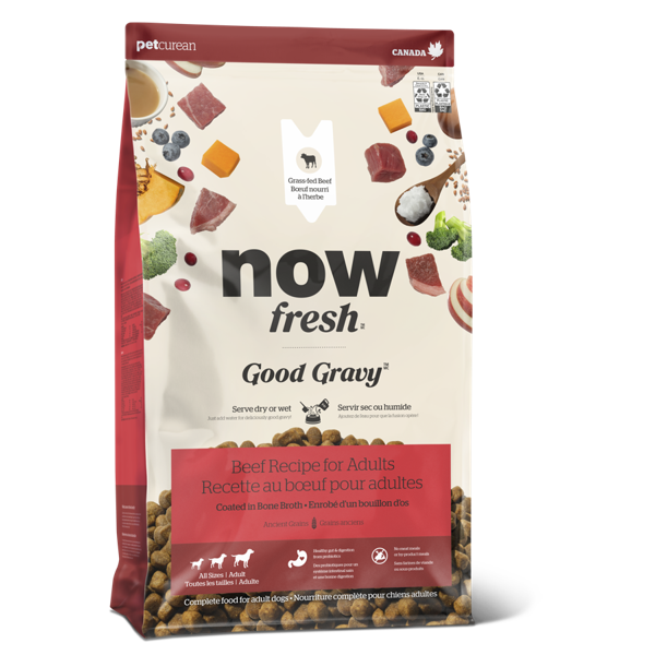 NOW Good Gravy Adult Dog Beef with Grains 22LB