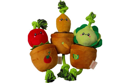 *Disc*TERRITORY Carrot Treat & Tug Toy