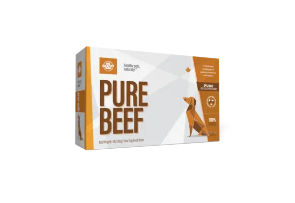Big Country Raw Pure Beef Carton Dog 4x1 lb