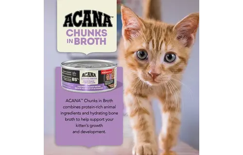 Acana Kitten Chunks Chicken & Salmon Entrée 155g