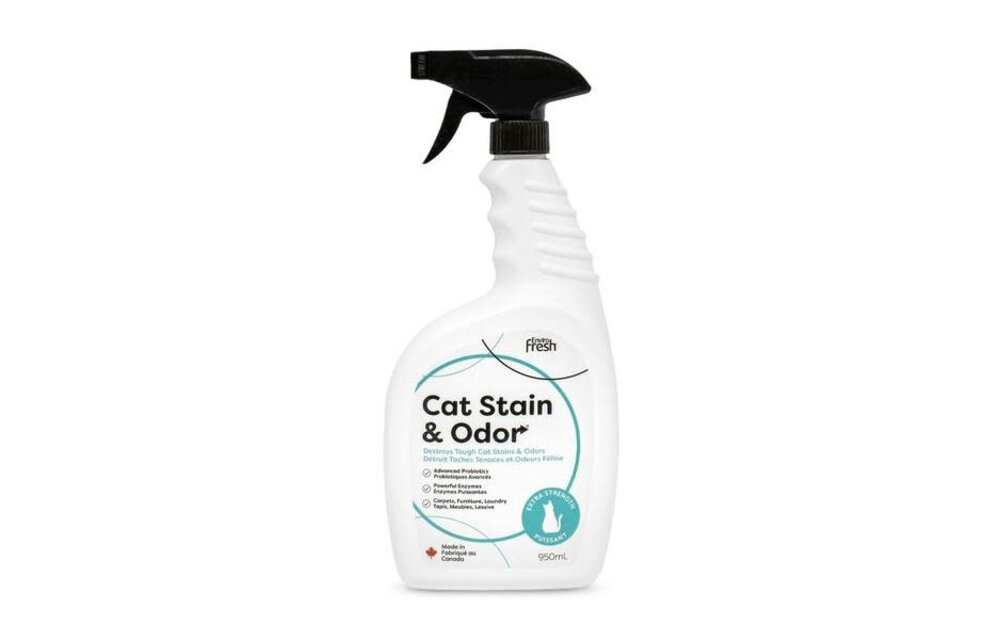 EnviroFresh Stain & Odor Probiotic Enzymatic Orange| Cat