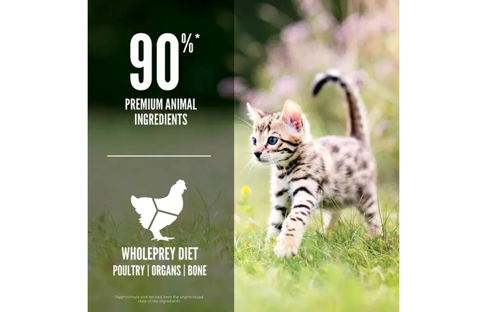 Orijen Kitten 3.17kg