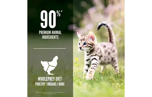 Orijen Kitten 3.17kg