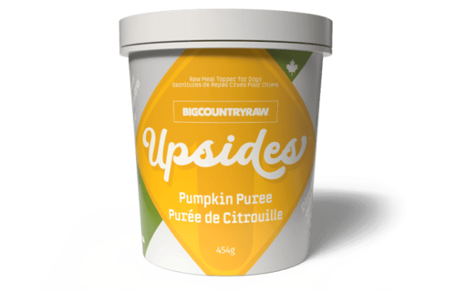 BCR Upsides Pumpkin Puree 454g