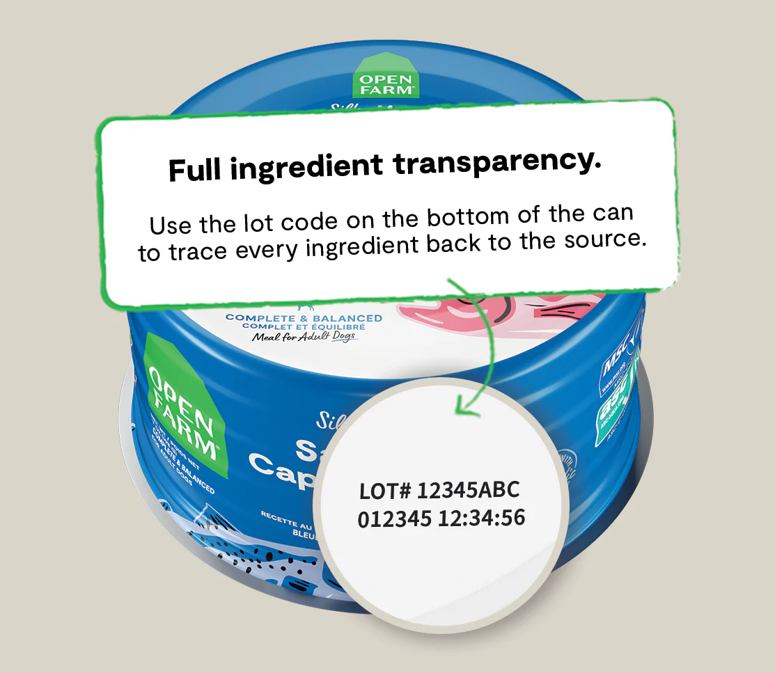 Open Farm Dog Salmon & Capelin w/Kelp 7oz