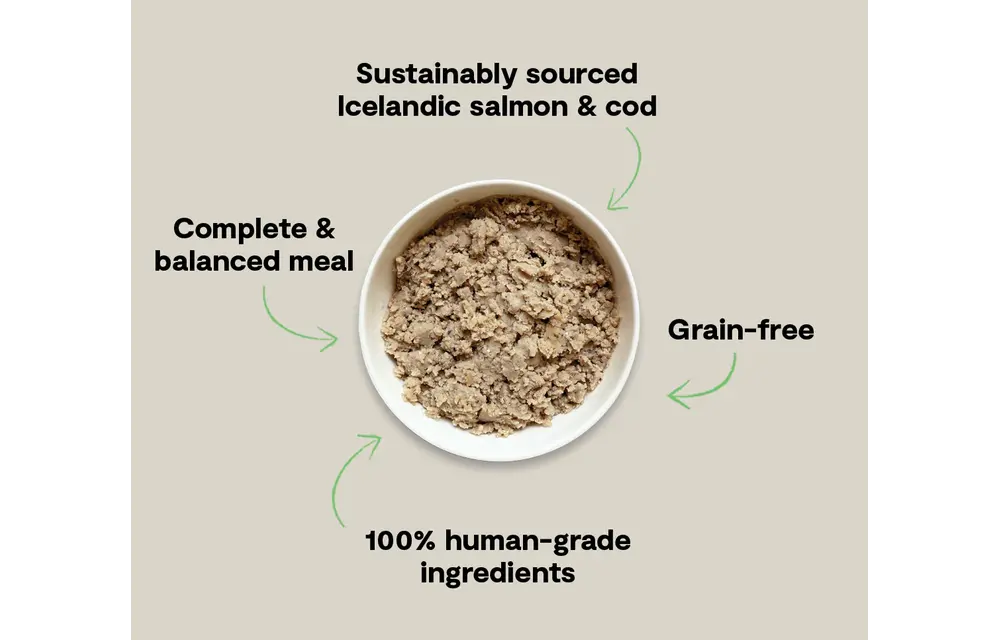 Open Farm Dog Salmon & Cod with Sweet Potato 7oz