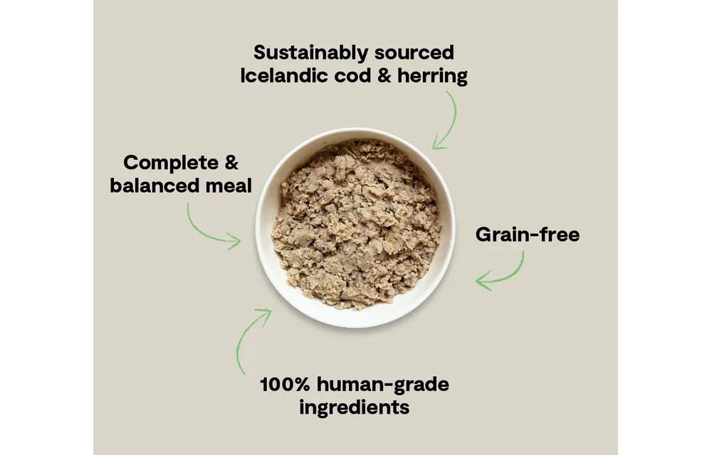 Open Farm Dog Cod & Herring with Blueberries 7oz
