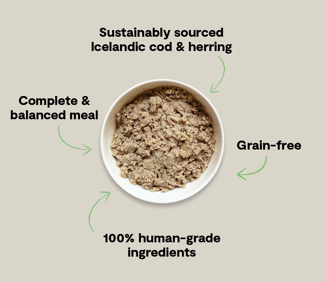 Open Farm Dog Cod & Herring with Blueberries 7oz