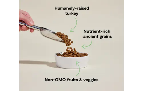 Open Farm Dog Ancient Grains Turkey 4lb