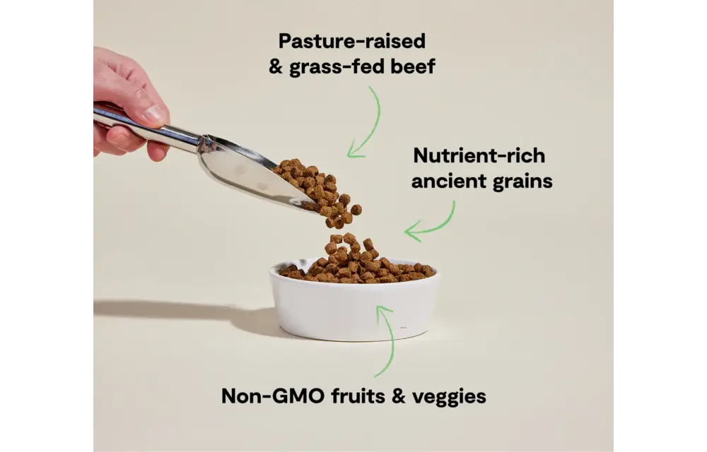 Open Farm Dog Ancient Grains Beef 4lb