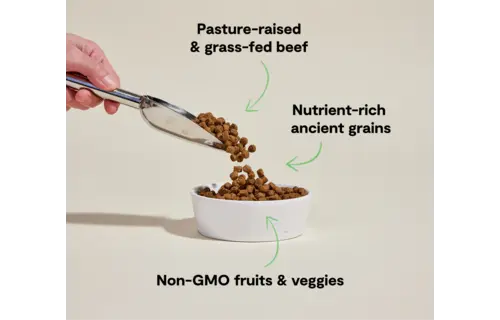 Open Farm Dog Ancient Grains Beef 4lb