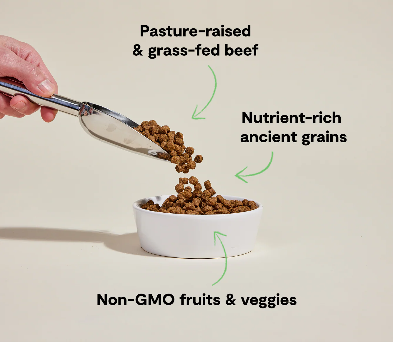 Open Farm Dog Ancient Grains Beef 4lb