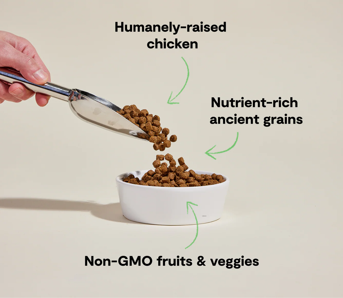 Open Farm Dog Ancient Grains Chicken 4lb