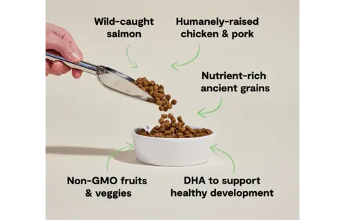 Open Farm Dog Ancient Grains Chicken & Salmon Puppy 4lb