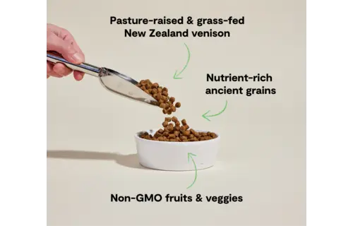 Open Farm Dog Ancient Grains Venison 4lb