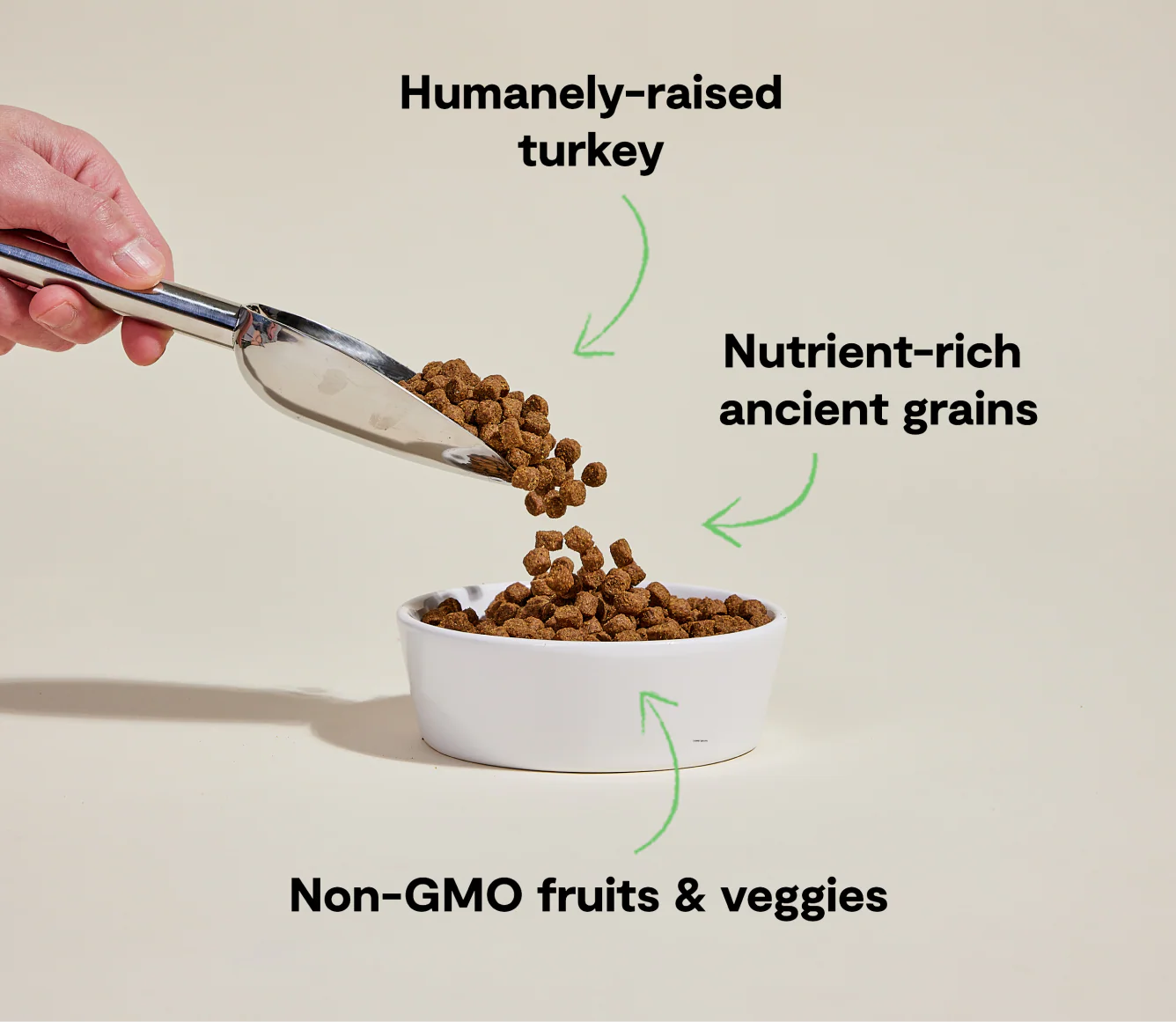 Open Farm Dog Ancient Grains Turkey 22lb