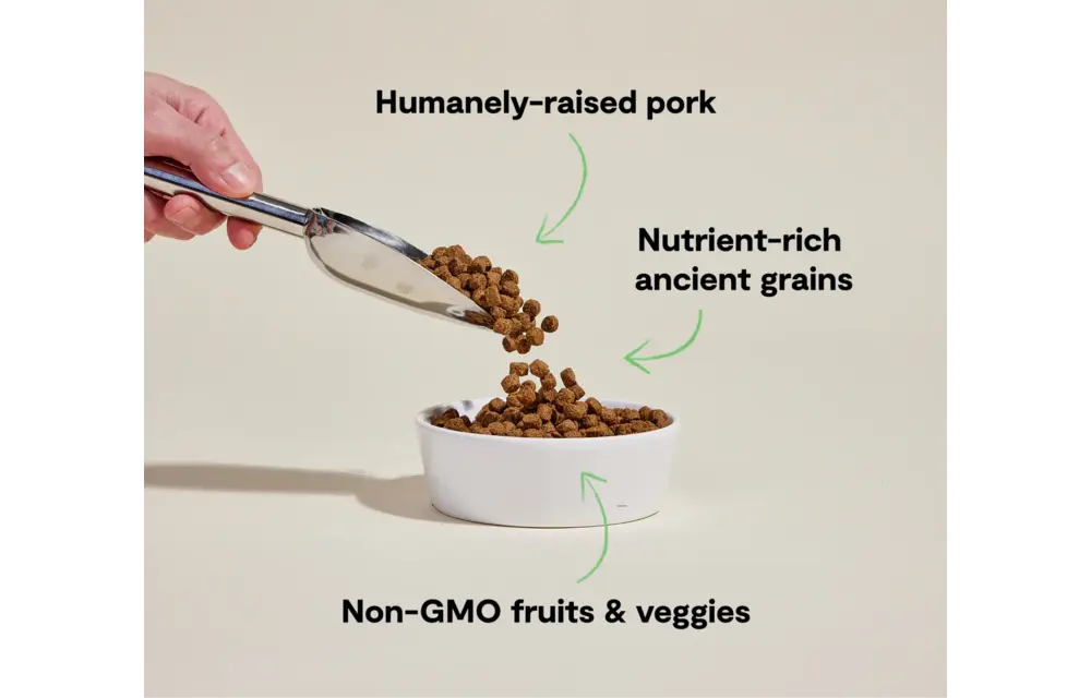 Open Farm Dog Ancient Grains Pork 22lb