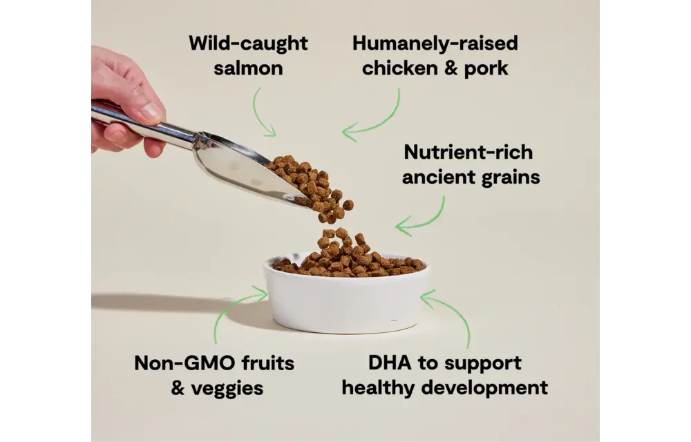 Open Farm Dog Ancient Grains Chicken & Salmon Puppy 22lb