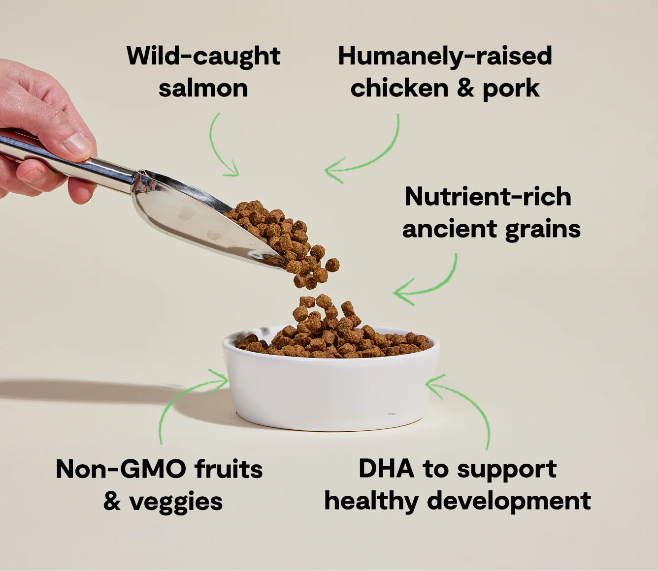 Open Farm Dog Ancient Grains Chicken & Salmon Puppy 22lb