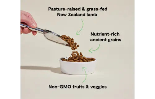 Open Farm Dog Ancient Grains Lamb 22lb