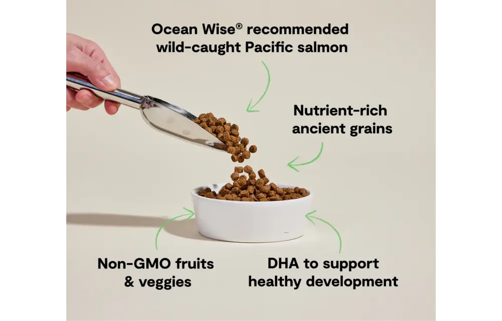 Open Farm Dog Ancient Grains Salmon Puppy 22lb