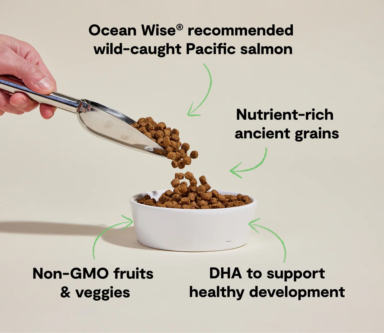 Open Farm Dog Ancient Grains Salmon Puppy 22lb