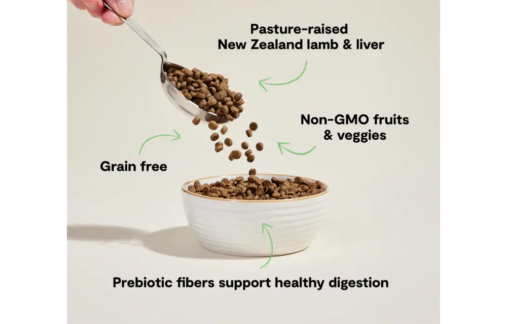 Open Farm Cat Grain-Free Lamb 4lb