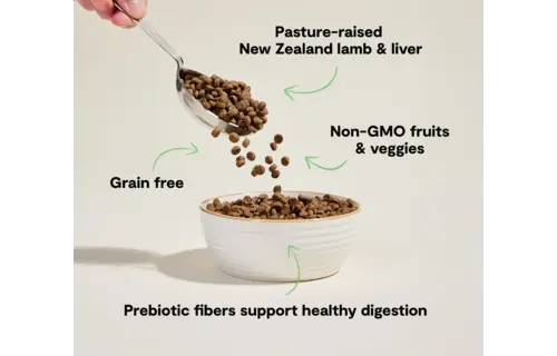 Open Farm Cat Grain-Free Lamb 4lb