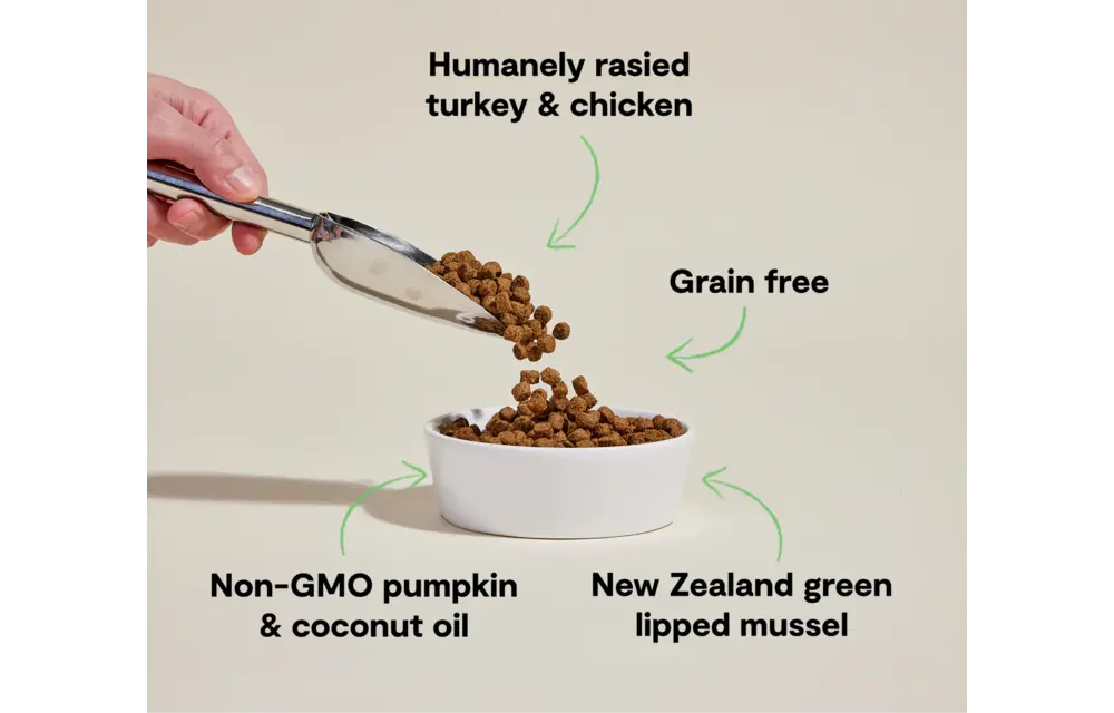 Open Farm Dog Grain-Free Turkey & Chicken Senior 4lb