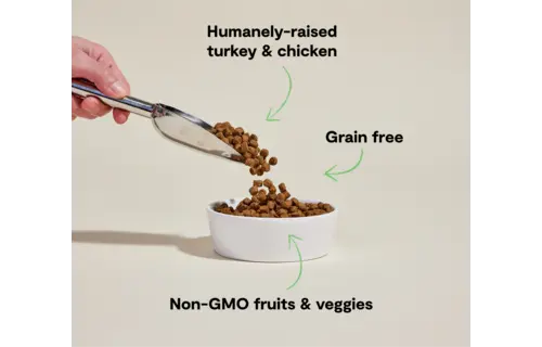 Open Farm Dog Grain-Free Turkey & Chicken 4Lb