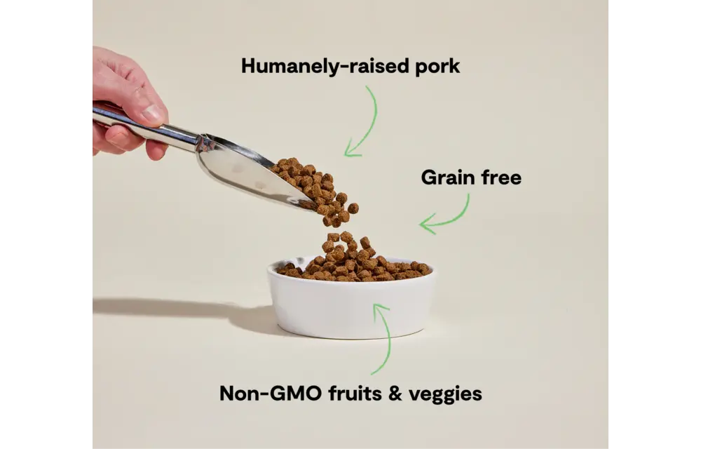 Open Farm Dog Grain-Free Pork 4lb