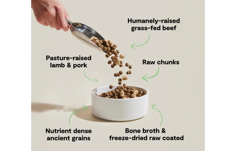 Open Farm Dog RawMix Ancient Grain Front Range 20lb