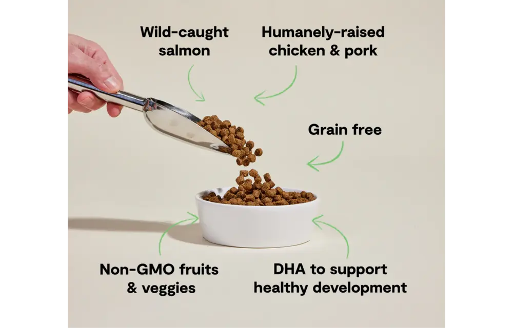 Open Farm Dog Grain-Free Chicken & Salmon Puppy 22Lb