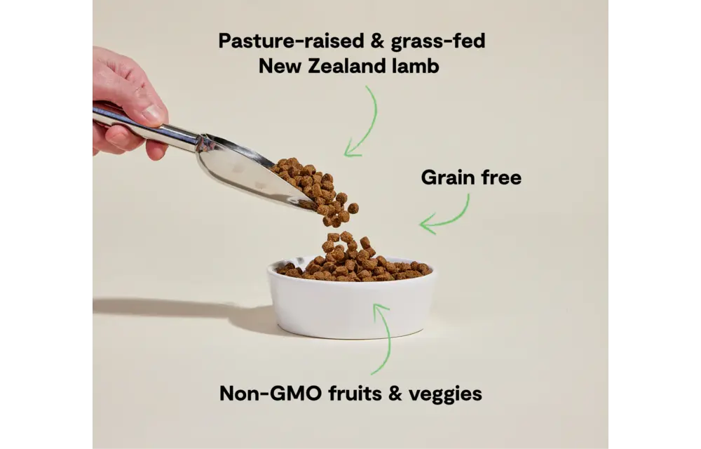 Open Farm Dog Grain-Free Lamb 22lb