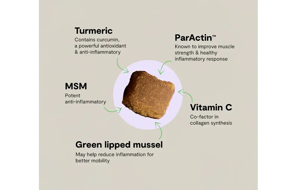 Open Farm Dog Hip & Joint Chews 90ct