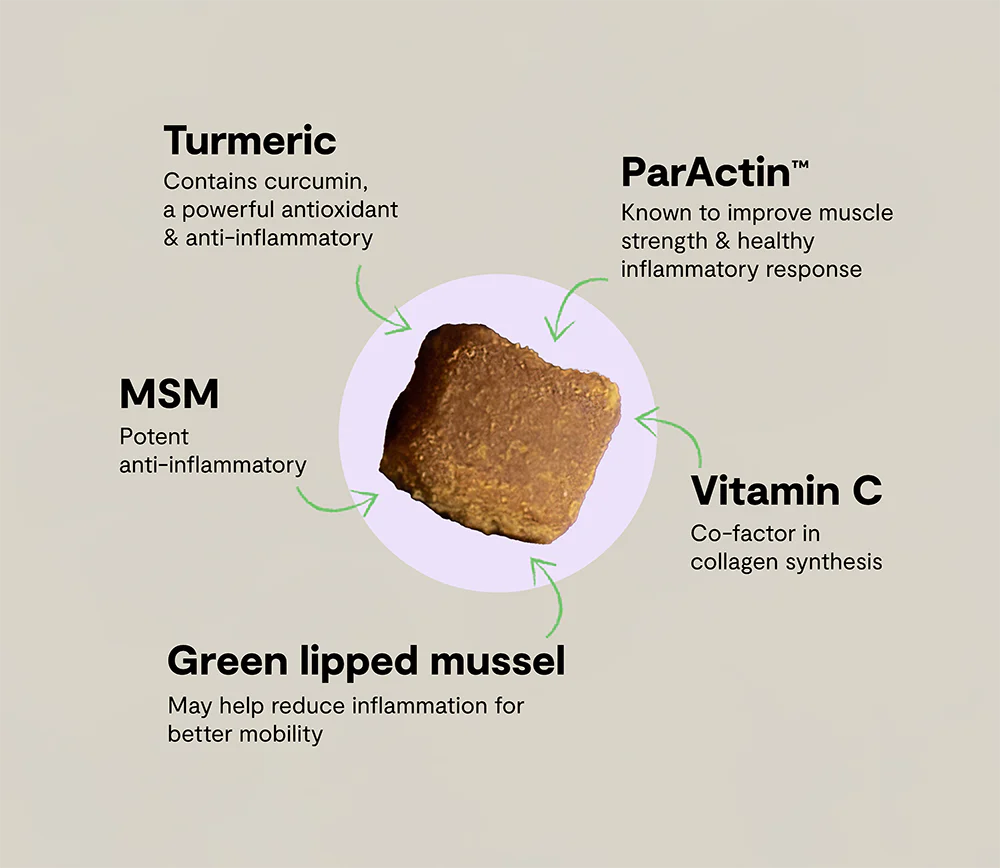 Open Farm Dog Hip & Joint Chews 90ct