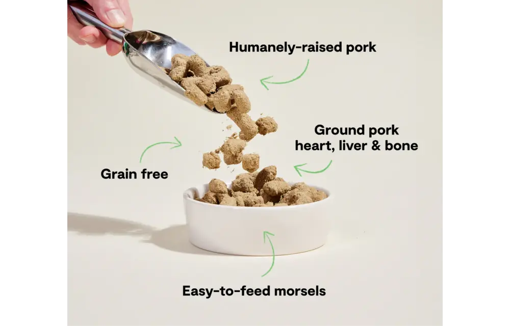 Open Farm Dog Freeze Dried Raw Pork 22oz