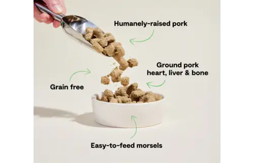 Open Farm Dog Freeze Dried Raw Pork 22oz