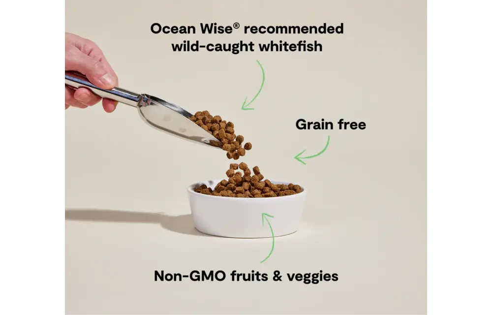 Open Farm Dog Grain-Free Whitefish 22lb