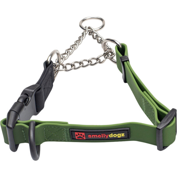 Smellydogz  Martingale Collar Green 1" 18-22"