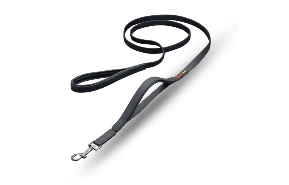 Smellydogz Double Handle Lead Black 0.75" 6'