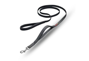 Smellydogz Double Handle Lead Black 0.75" 6'