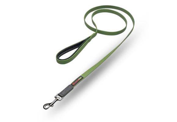 Smellydogz Comfort Lead Green 0.75" 6'