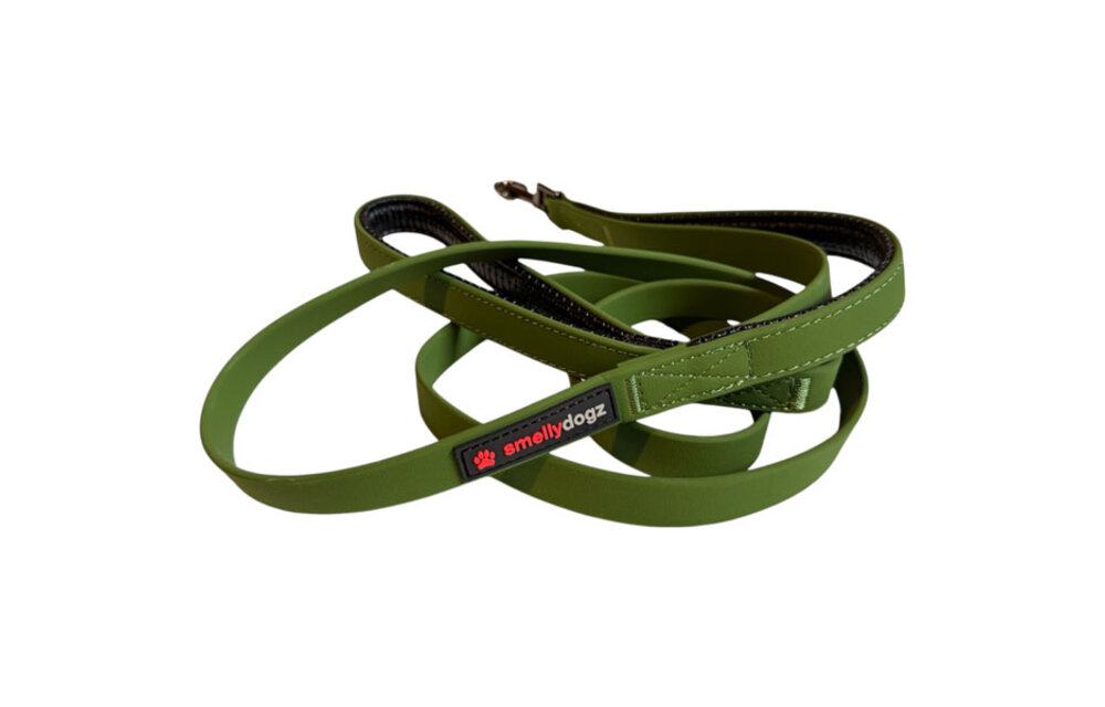 Smellydogz Double Handle Lead Green 0.75" 6'