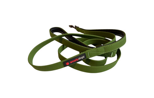Smellydogz Double Handle Lead Green 0.75" 6'