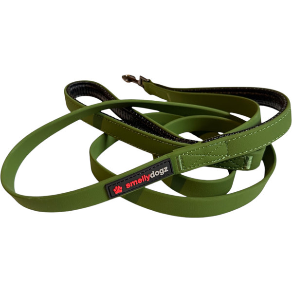 Smellydogz Double Handle Lead Green 0.75" 6'