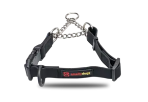 Smellydogz Martingale Collar Black 0.75" 14-18"