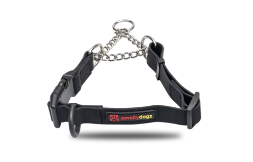 Smellydogz Martingale Collar Black 1" 18-22"