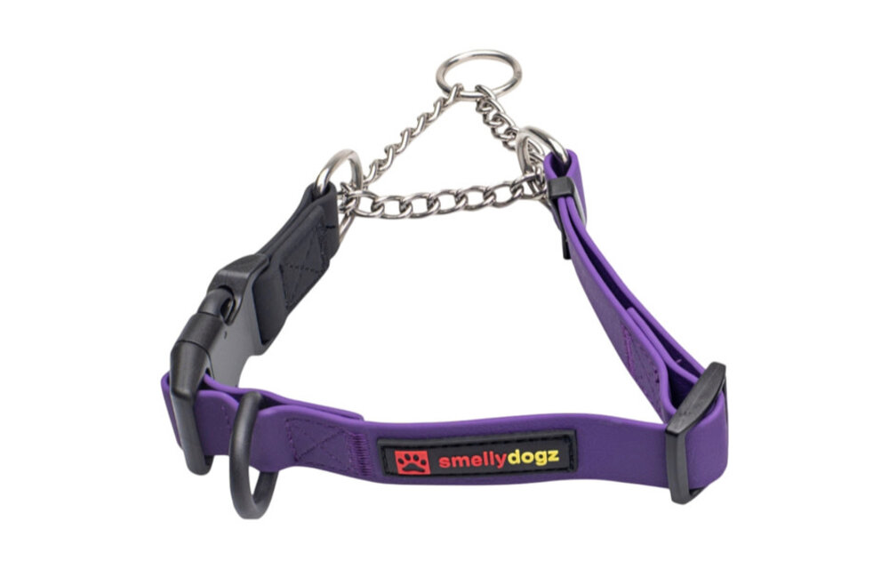 Smellydogz Martingale Collar Purple 1" 18-22"