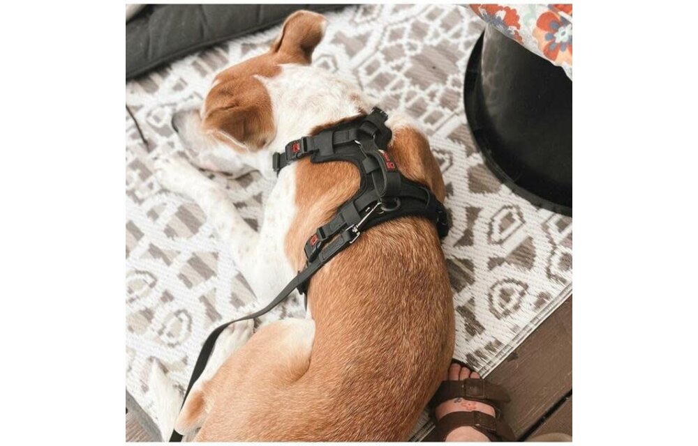Smellydogz No-Pull Comfort Harness Black Small